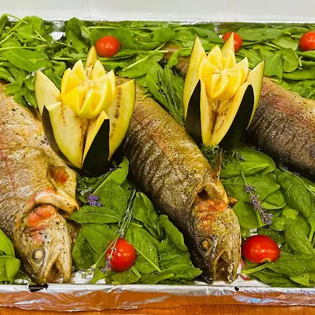 Queen Nelly Πριμόρσκο